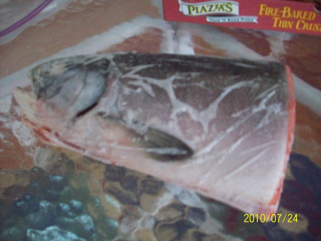 100_3383.JPG