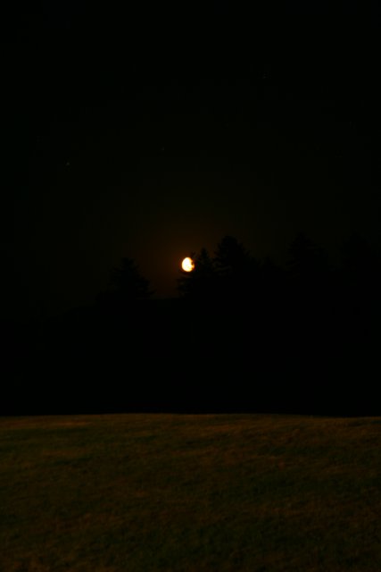 IMG_3778.JPG