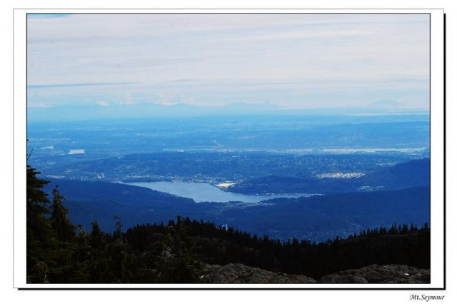 DSC_0091.jpg