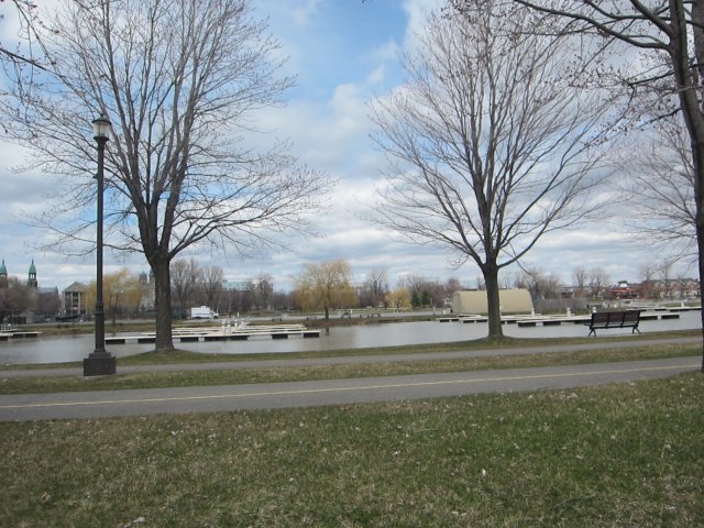 IMG_1932.jpg