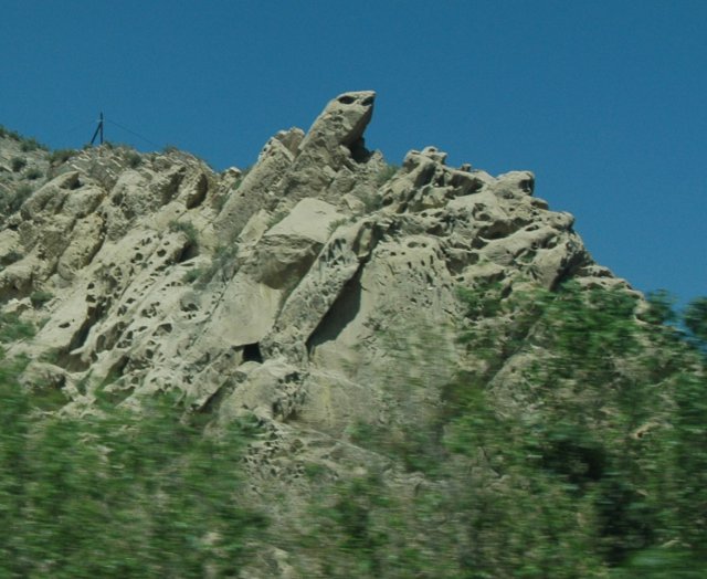 DSC_5.JPG
