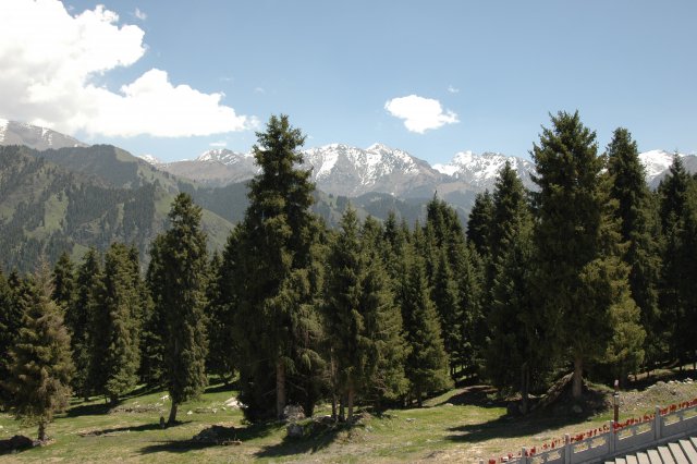 DSC_7.JPG