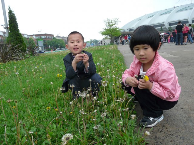 不排长队，去摘野花.jpg