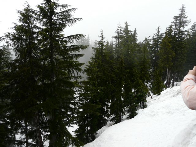 松鸡山顶的冰雪常年不化.jpg