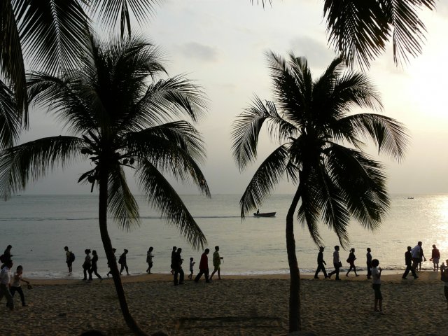 椰风浓情.jpg