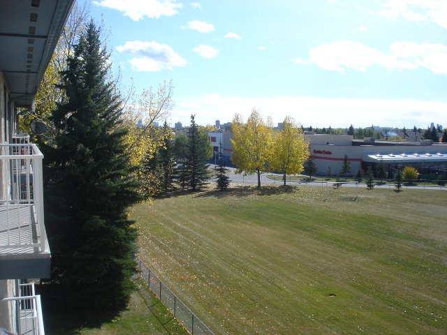 DSC05545.JPG