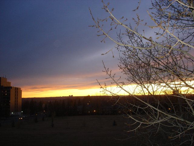 DSC05559.JPG