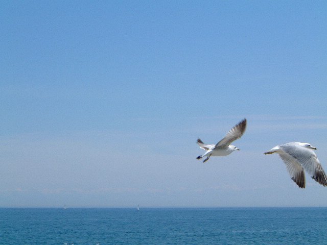 海一样的安大略湖.jpg