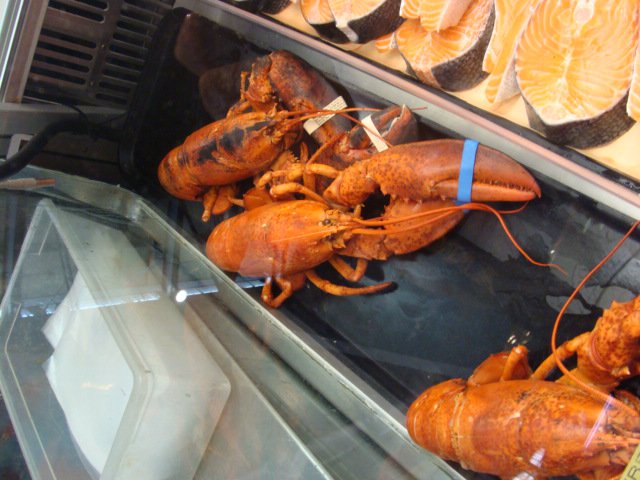 圣劳伦斯市场龙虾