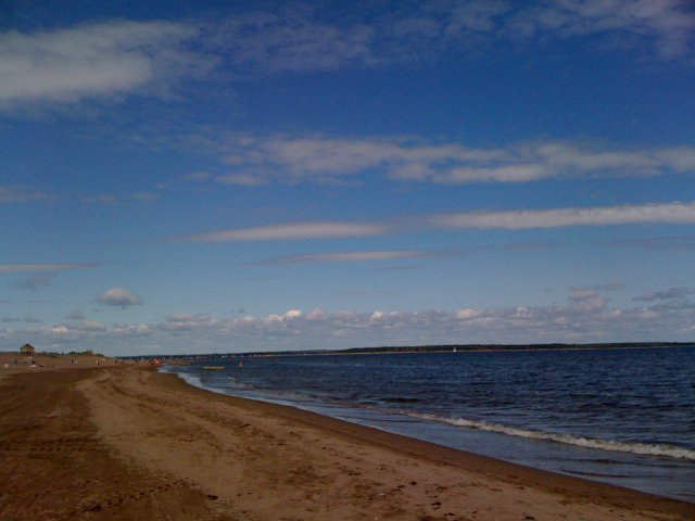 SHEDIAC 1.jpg