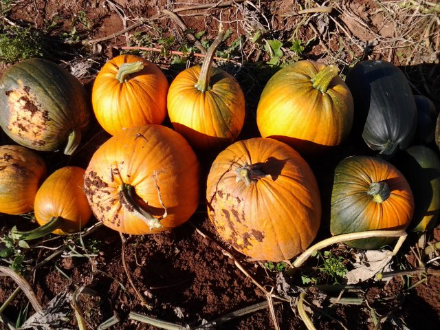 2013-09-28 15.52.29.jpg