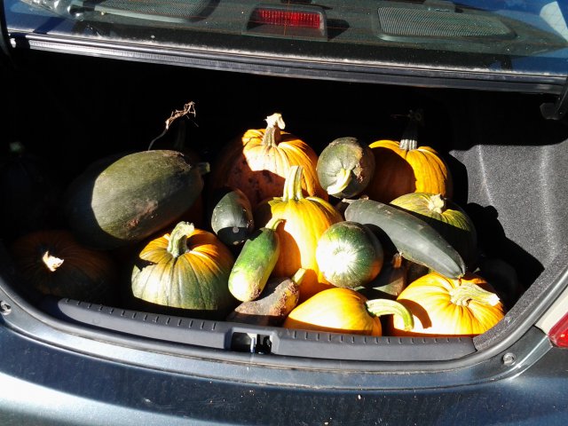 2013-09-28 16.05.58.jpg