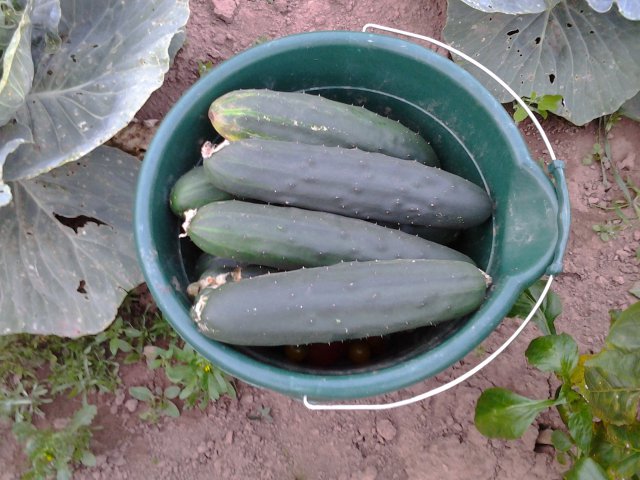 2013-08-28 19.49.33.jpg