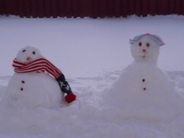 后院的雪娃娃.jpg