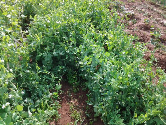 2014-07-20 10.05.43 - Copy.jpg