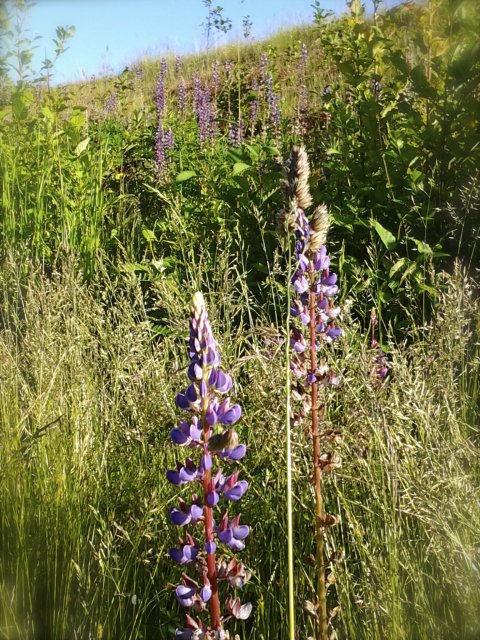 2013-06-10 18.48.05.jpg