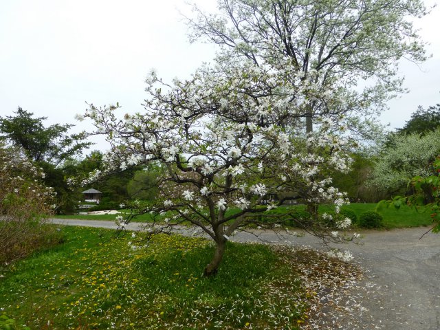 P1030204.JPG